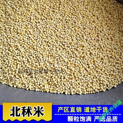 北秫米500克北秫米中药材散装新货农家糯秫黄糯糯粟小米
