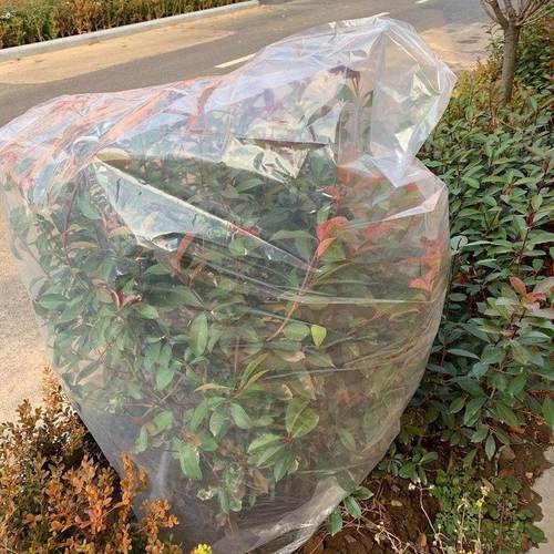 套膜花木户外保暖袋套