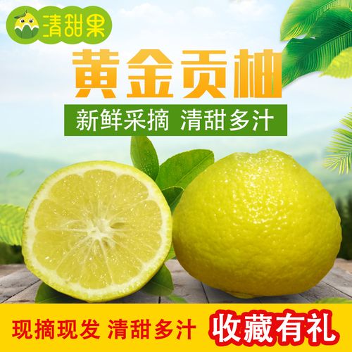 湖南怀化黄金贡柚春香桔柚象山青纯甜当季新鲜水果小个柚子包邮