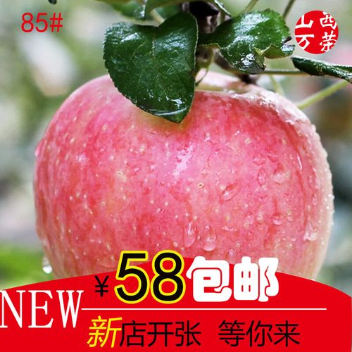 山西万荣红富士苹果脆甜水果新鲜当季冰糖心非栖霞10斤现摘包邮