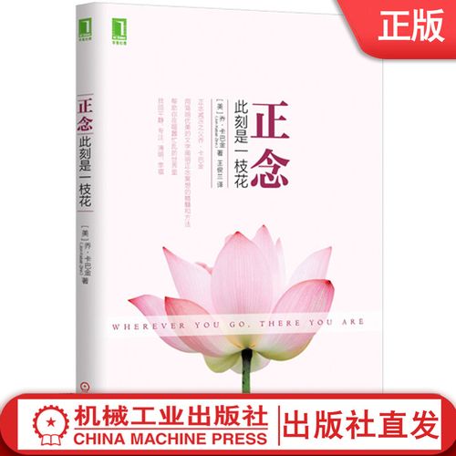 心理学 正念之道 阐明正念冥想精髓 人生哲学通俗读物 正知 正能量