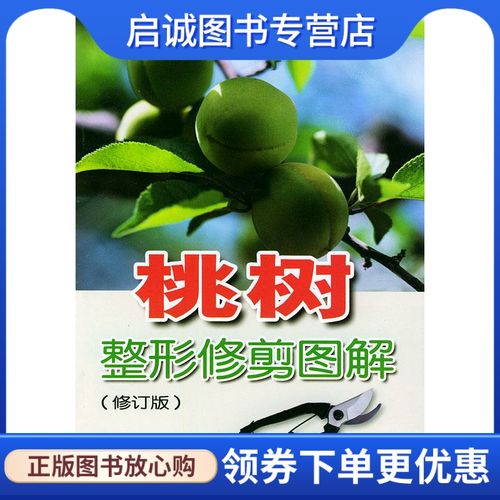 桃树整形修剪图解 张鹏,魏连贵   编著 金盾出版社 9787508229713