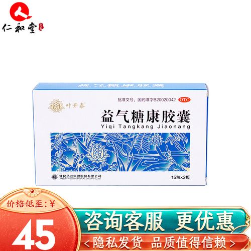 叶开泰 益气糖康胶囊 0.