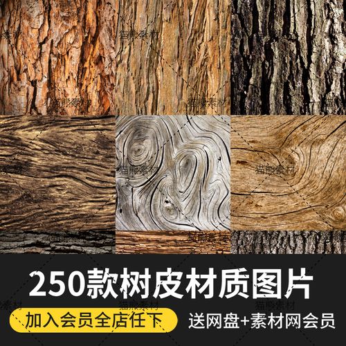 树皮年轮树纹木皮树木表皮纹理材质贴图片高清jpg素材图库c0828