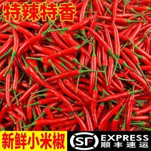 【顺丰包邮】现摘山东小米椒新鲜朝天椒红辣椒净重三