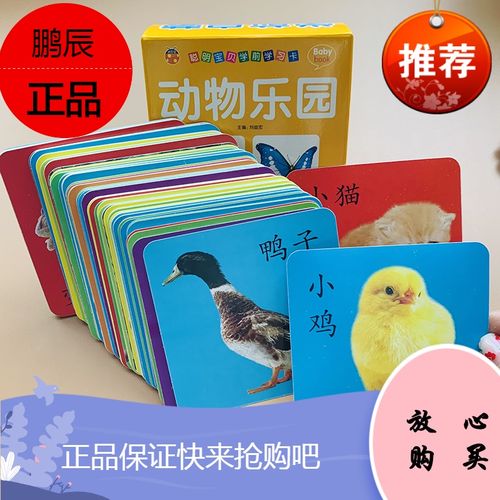 看图认动物图片108张婴儿小孩子认识动物的图片大图动物大全一岁学习