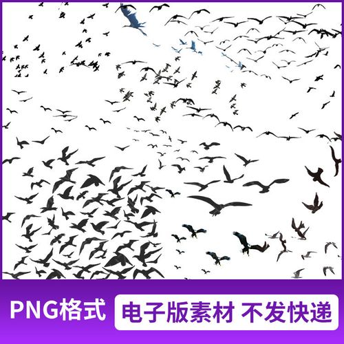 png格式飞翔的大雁候鸟的鸟群图片免抠透明元素设计素材