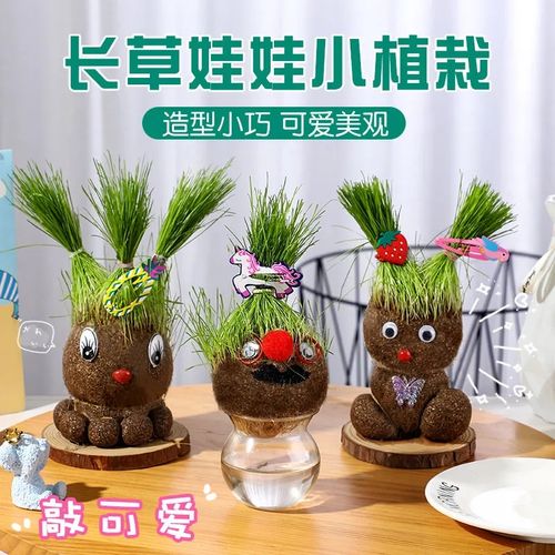 室内桌面头发浇水头上长草娃娃盆栽草头植物种籽创意小摆件可爱