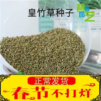 新型皇竹草种子王草皇草杂交黄族草种牧草种子 半斤 默认