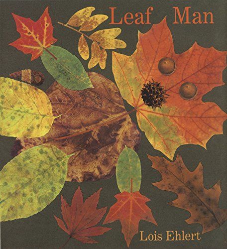 叶子先生 凯迪克奖得主洛伊丝·艾勒特 (lois ehlert) 精装绘本 leaf