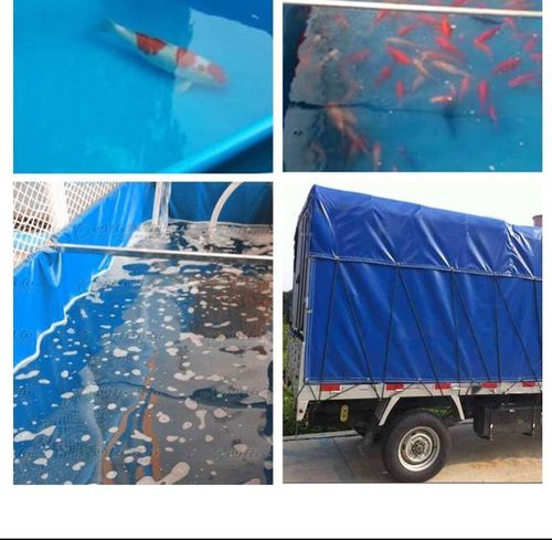 塑料鱼池锦鲤帆布圆形加厚带支架养鱼池大型暂养池防水布养殖水池