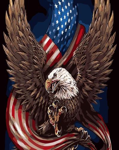 数字油画diy  客厅动物风景淡彩休闲创意填色手绘装饰画 美国象征