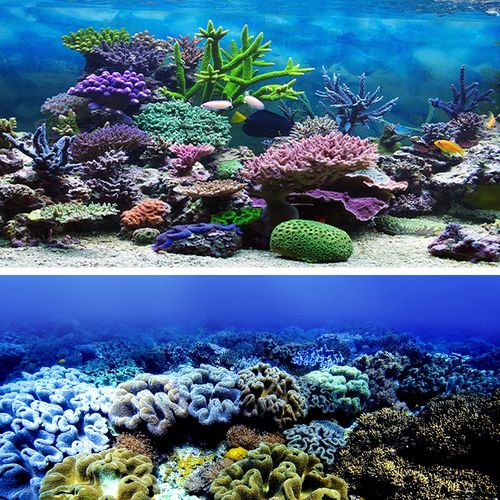 哈宝哈贝【海底世界珊瑚沙滩】定做高清鱼缸背景纸贴纸字画3d浮雕龙图