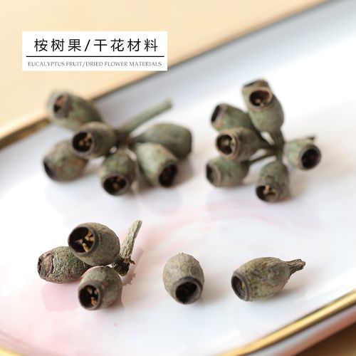 飞鱼手作 干花桉树果7g 香薰蜡烛蜡牌diy自制活动沙龙材料 小干花