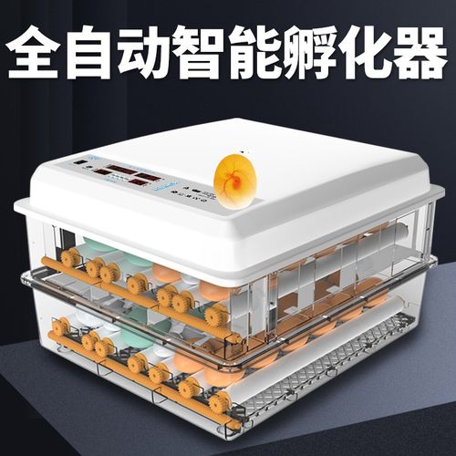 孵化器小型家用孵蛋器全自动智能芦丁鸡孵化机孵小鸡的机器孵化箱