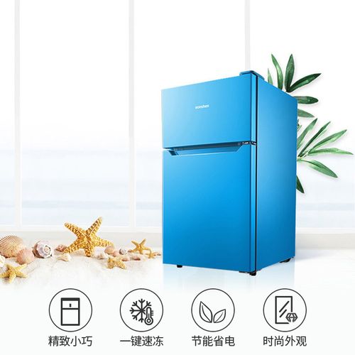 容声 bcd-92d11d家用双开门电冰箱小型母婴两门节能冰箱宿舍迷你we