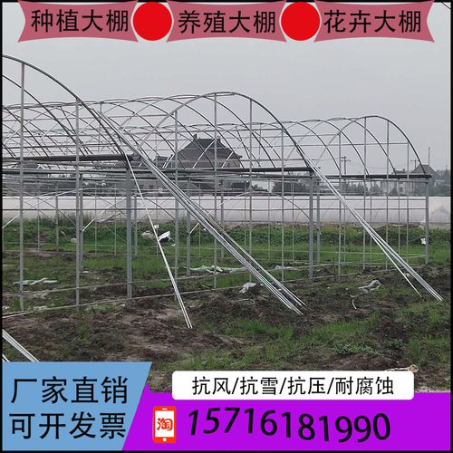 热镀锌温室大棚钢管骨架农业蔬菜养殖连体花卉果树保温各种棚配.