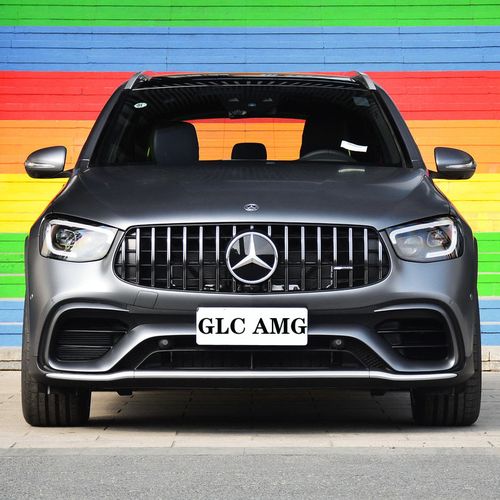 适用于20-22款梅赛德斯奔驰glc amg汽车防虫网中网格栅水箱防护罩