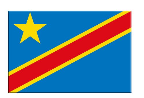 无框画装饰画挂画书画板会议室武馆体育馆比赛世界旗帜国旗刚果