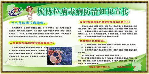 754海报印制展板写真喷绘252健康教育栏埃博拉病毒知识宣传