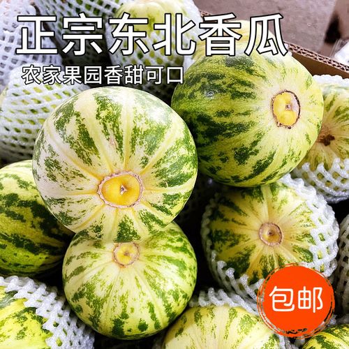 香瓜花姑娘甜瓜东北特产新鲜水果应季孕妇甜3斤非羊角蜜绿宝八里【4月