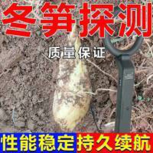 挖笋神器找笋挖笋竹笋冬笋探测器手持式高精度报警震动 挖笋神器找笋