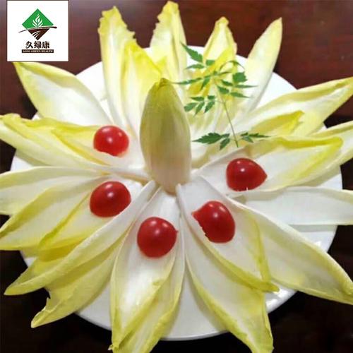 黄色玉兰菜新鲜菊苣菜芽球玉兰芽球菊苣蔬菜