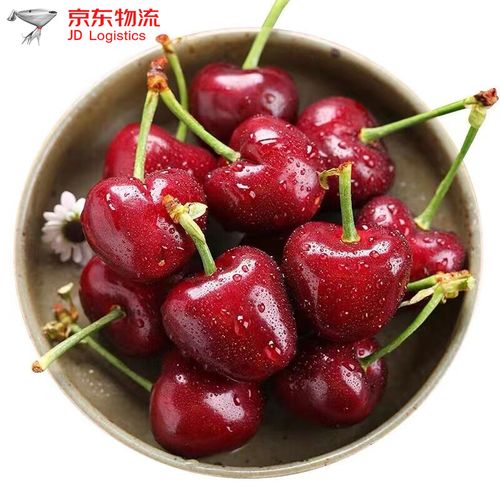 车厘子樱桃 新鲜大连樱桃到货国产当季大樱桃整箱 jj级钻石果(28-30mm