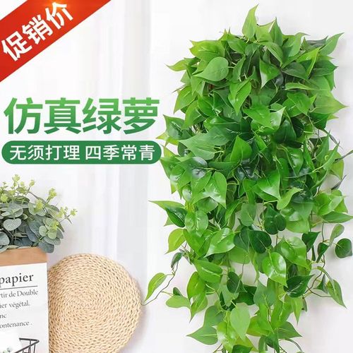 仿真植物花藤假花藤条塑料藤蔓绿萝壁挂吊篮室内吊兰绿植墙面装饰