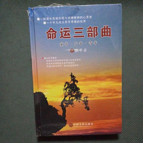 命运三部曲:童年 少年 青年 张平安 中国文联出版社 9787519017194