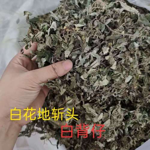 中草药 白花地斩头 白背仔 白背草 250克包邮
