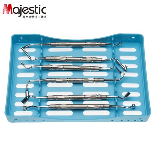 马杰斯特(majestic)牙科器械 骨粉充填器 输送器 口腔种植牙手术工具