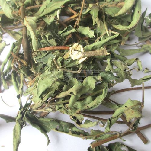 中草药野生新品无硫玉叶金花500g干凉茶仙甘藤蝴蝶藤山甘草口臭茶