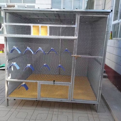 5宽2米高大型鸽笼防鼠防猫防盗鸽舍鸽子用品用具拼装鸽舍【6月21日发