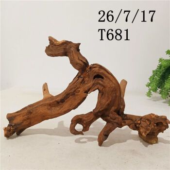 珊瑚木鱼缸造景木头精品莫斯水沉木水族装饰大型天然枯木树根摆件