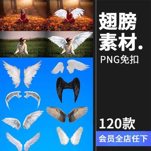 黑白色天使翅膀羽翼png影楼儿童摄影后期装饰合成设计ps素材