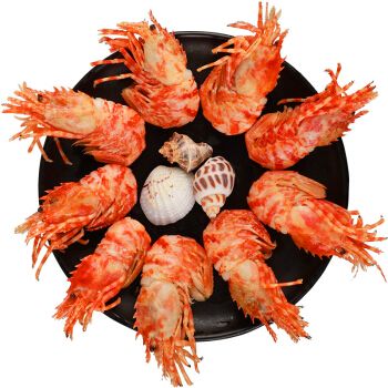 俄罗斯熟冻格陵兰莱伯虾 即食火龙虾北极甜虾海虾 虾爬子海鲜水产 1斤