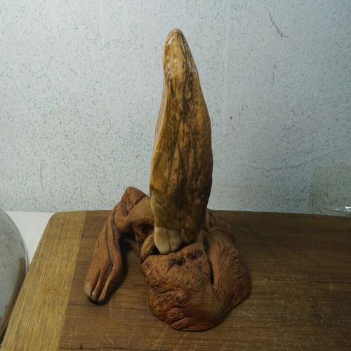 包邮2145号 新疆哈密大南湖地表水冲硅化木 木化石