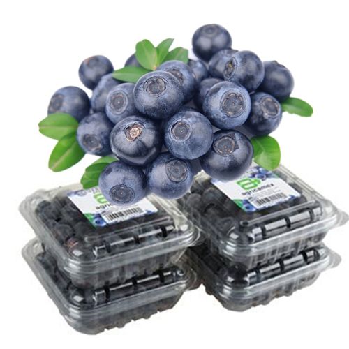 【顺丰】driscoll怡颗莓当季限量云南蓝梅新鲜水果蓝莓125克每盒 4盒
