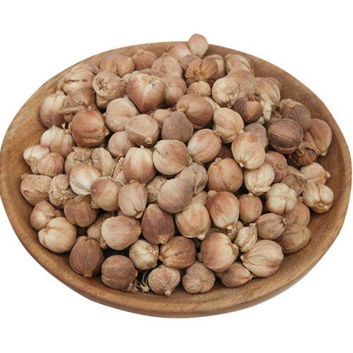 精选白扣 中药材白豆蔻 香料卤味料大全白蔻 厨房香料白扣仁 散装