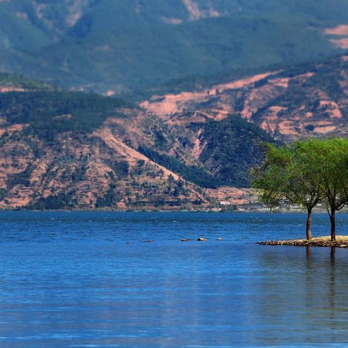 西昌邛海湾柏樾酒店丨迂邛海囯家湿地公园泸山古城邛海青龙侍