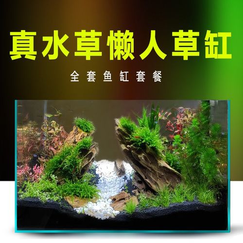 鱼缸水族箱小型热弯客厅办公室桌面家用生态鱼缸真水草缸造景套餐