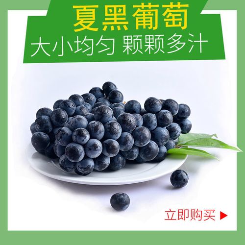 云南夏黑葡萄小粒散养蓝莓葡萄无籽黑提新鲜水果剪粒装便利装包邮