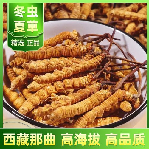 冬虫夏草西藏那曲新鲜干虫草大断草泡水喝养生茶 干虫草 大纯肉节 10