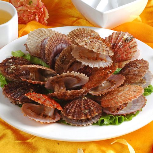 鲜活小红贝野生大扇贝新鲜湾口贝红扇贝粉丝扇贝食材海鲜贝类水产