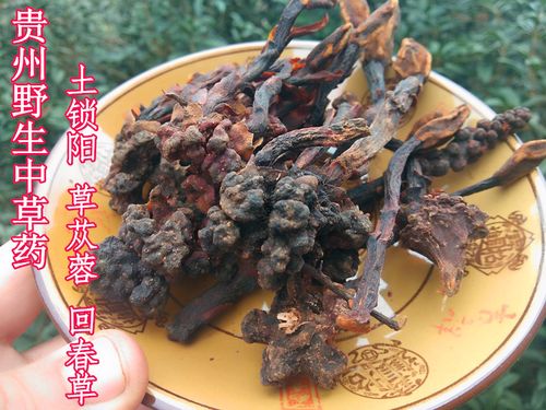 贵州野生土锁阳干货500克 中药材回春草苁蓉食用农产品草药顶天柱
