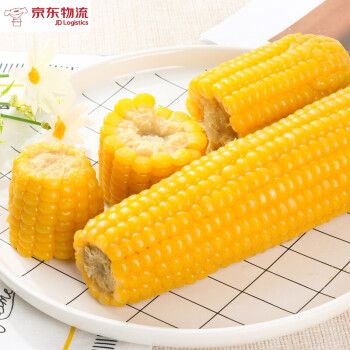 广西甜玉米新鲜农家自种生包谷嫩黄金玉米棒子现摘苞米蔬菜(优选品质)