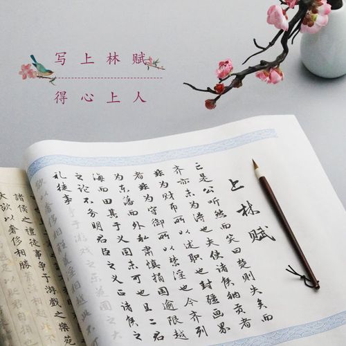 上林赋司马相如完整版 五米宣纸描红长卷 赵孟頫行书 王羲之小楷