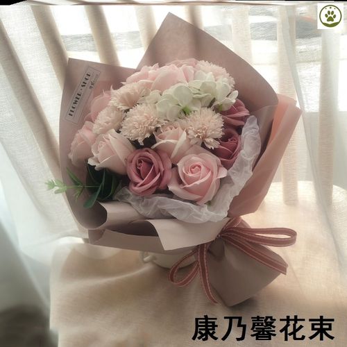 母亲节礼物送妈妈阿姨60岁丈母娘实用70岁长辈花束干花婆婆康乃馨