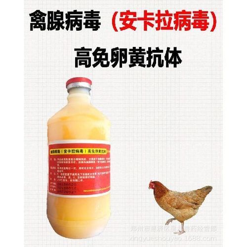 禽疫苗 鸡疫苗 禽腺病毒 鸡安卡拉病毒 高免卵黄抗体500ml 一瓶价